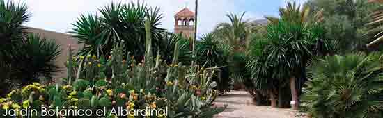 Visitas de interes en Cabo de Gata