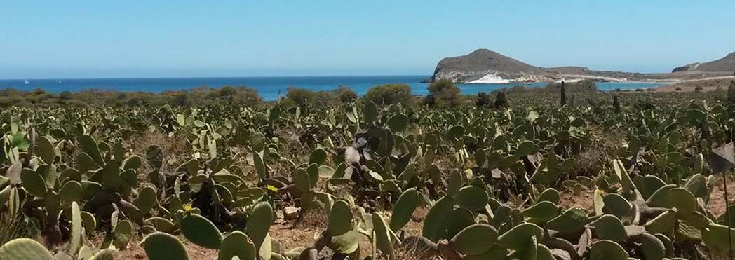 Playa de los genoveses