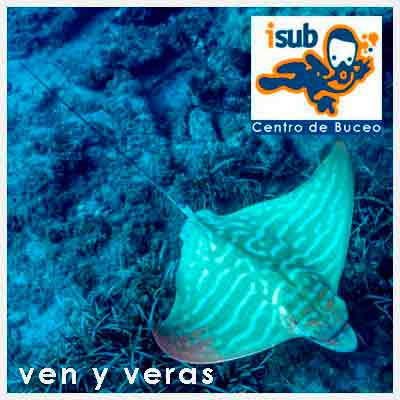 Buceo en Cabo de Gata