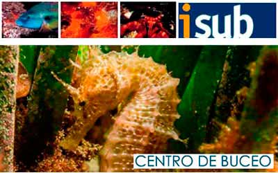 Isub San Jose. Buceo Cabo de Gata