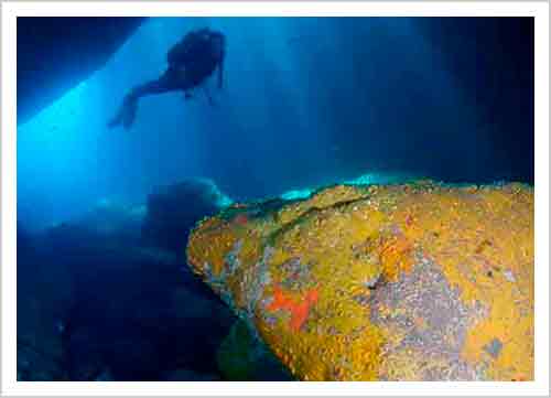 Submarinismus. Tauchen Cabo de Gata.Das Cabo de Gata ist ein faszinierender Ort zum Tauchen oder Tauchen und entdeckt eine unglaublich schöne verborgene Welt: sein marines Escosystem.