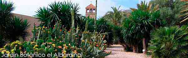 Jardín botánico el Albardinal