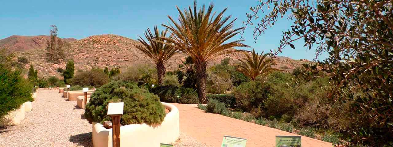 jardín botánico el Albardinal, Cabo de Gata jardín botánico el Albardinal, Cabo de Gata